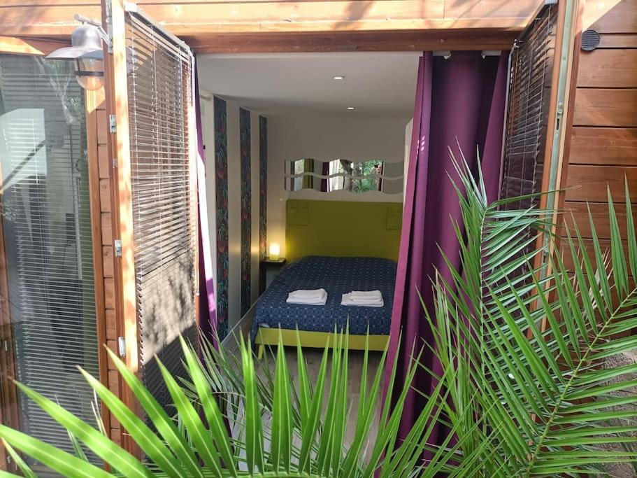 Studio Jacuzzi Prive A 8 Min A Pied De La Plage Lejlighed La Ciotat Eksteriør billede